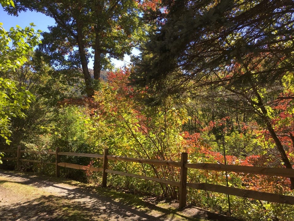 Private and Serene Wooded Location.