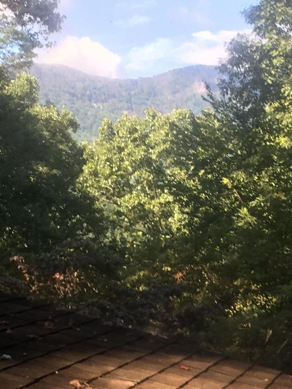 view out upstairs bath window