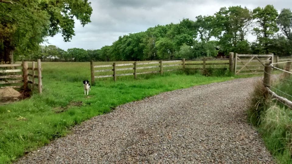 the lodges have their own private access track