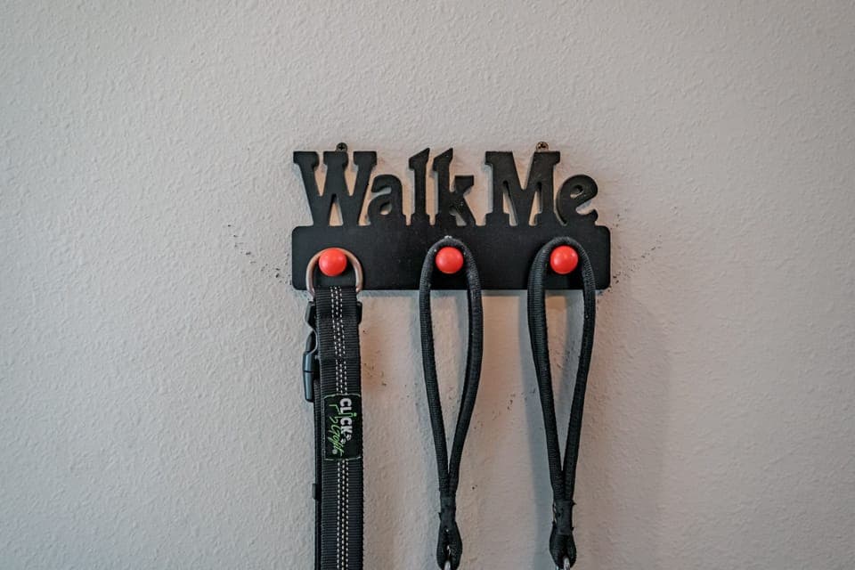 Soooo many wonders to sniff right out the door