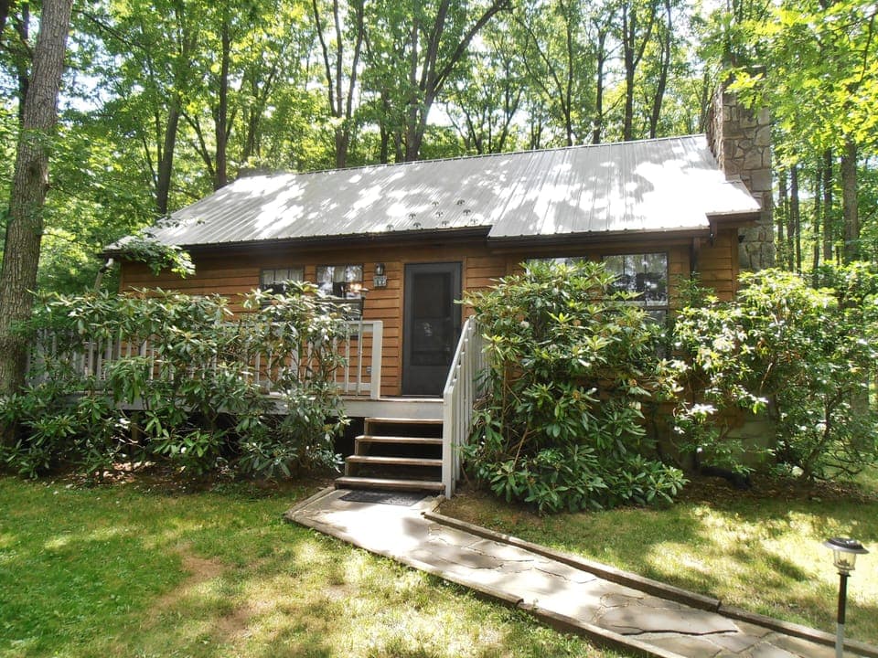 Red Run Cabin - Summer with new roof