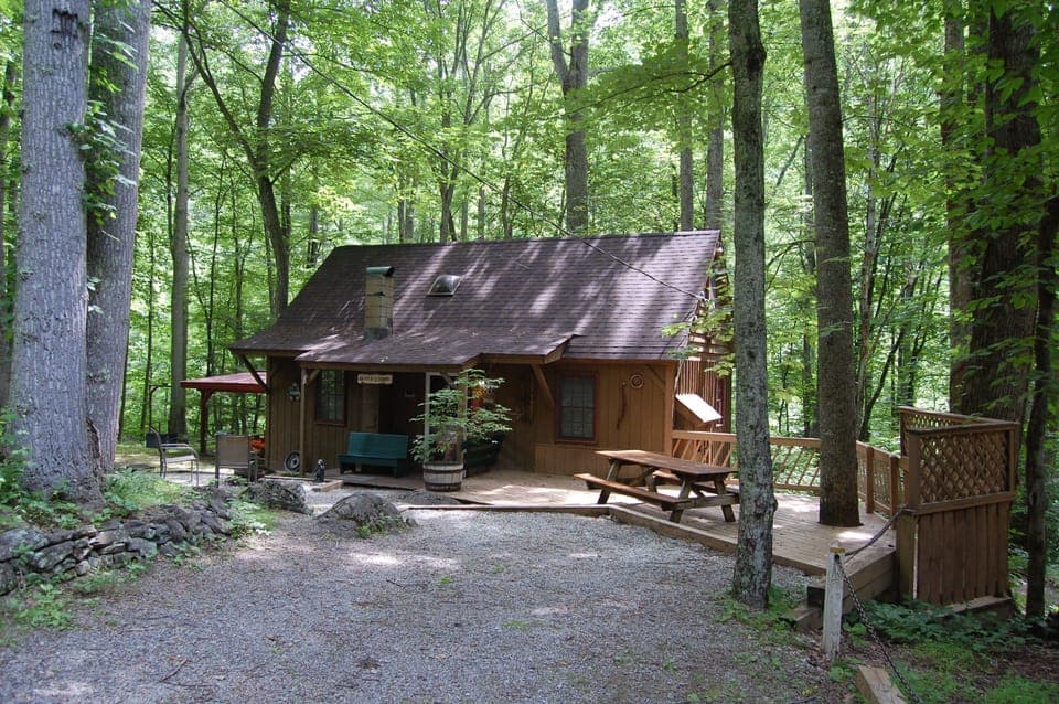 Bear paw cabin spring time view 