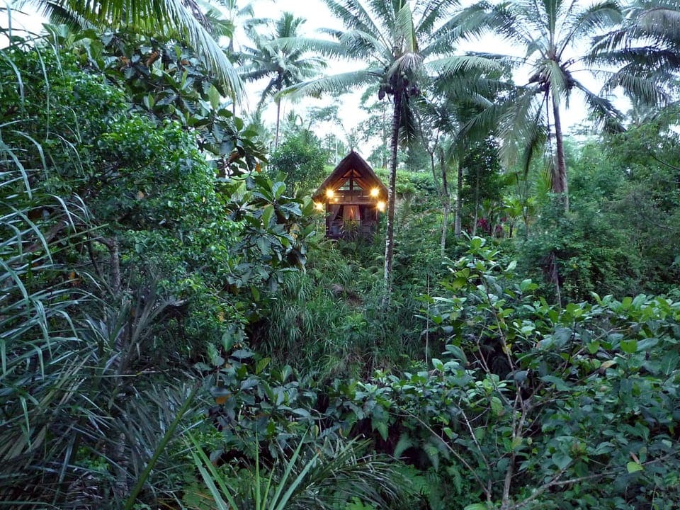 The Kingfisher bales faces a deep jungle gorge