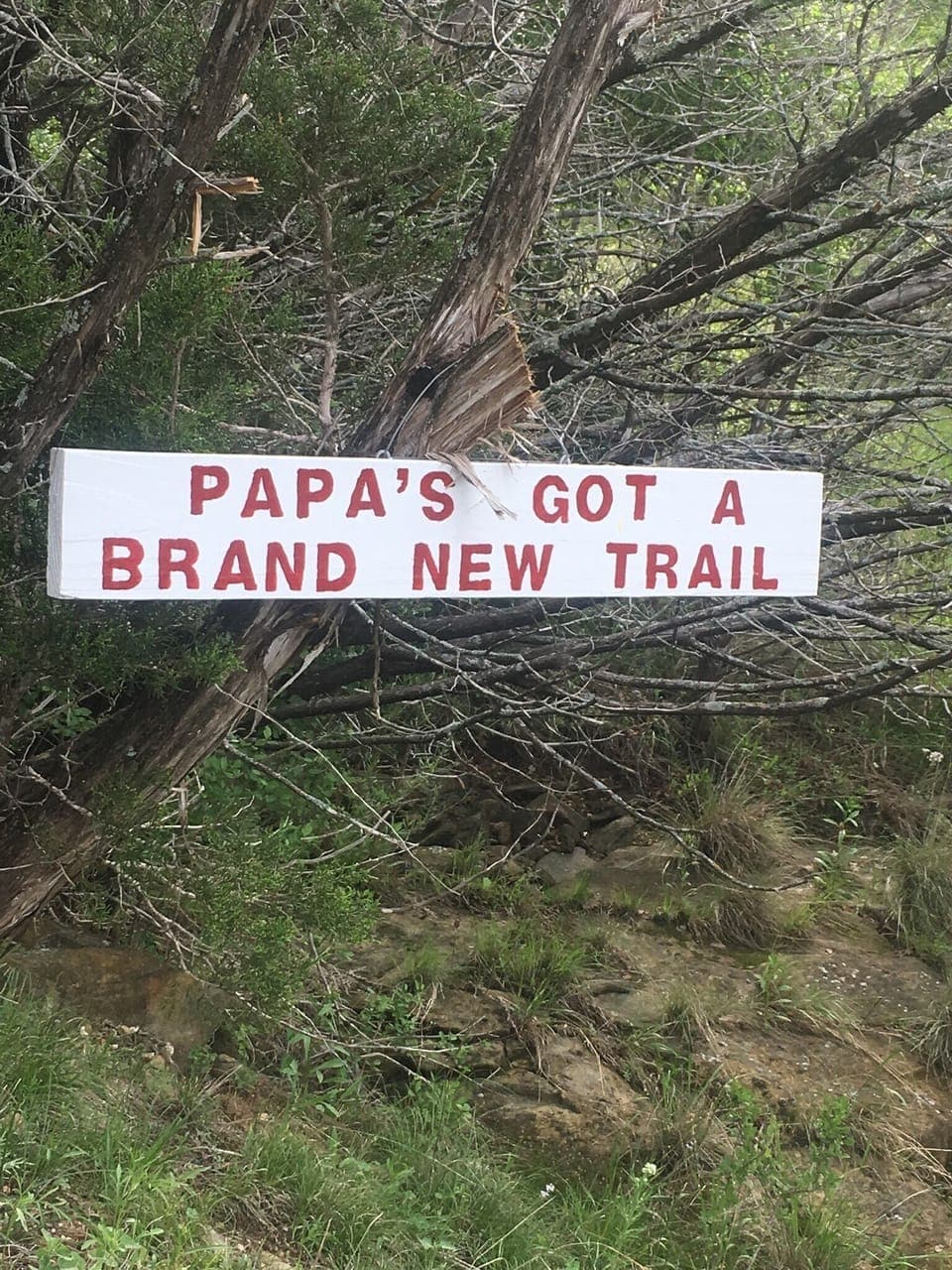 Bird watchers. This is pristine forest with old growth cedars. 
