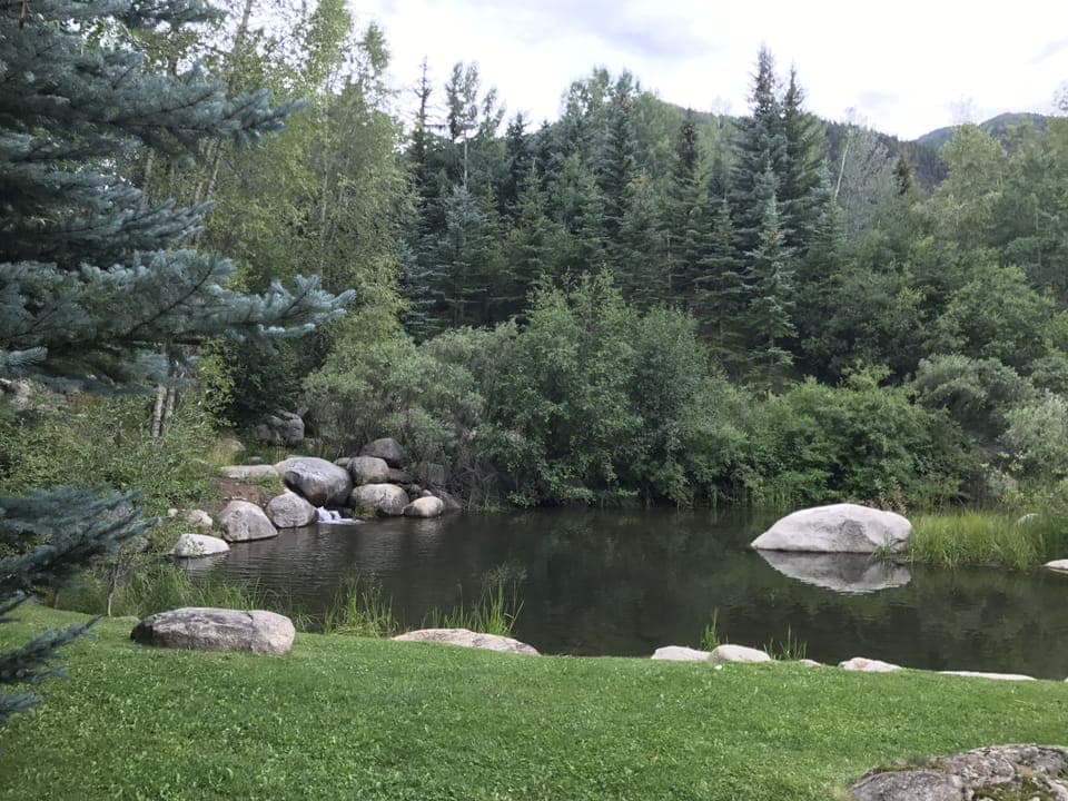 Pond behind house