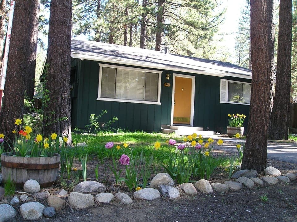 Front of the house in Spring