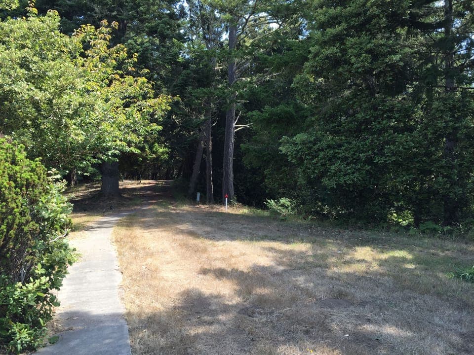 Front lawn, and view towards parking area.