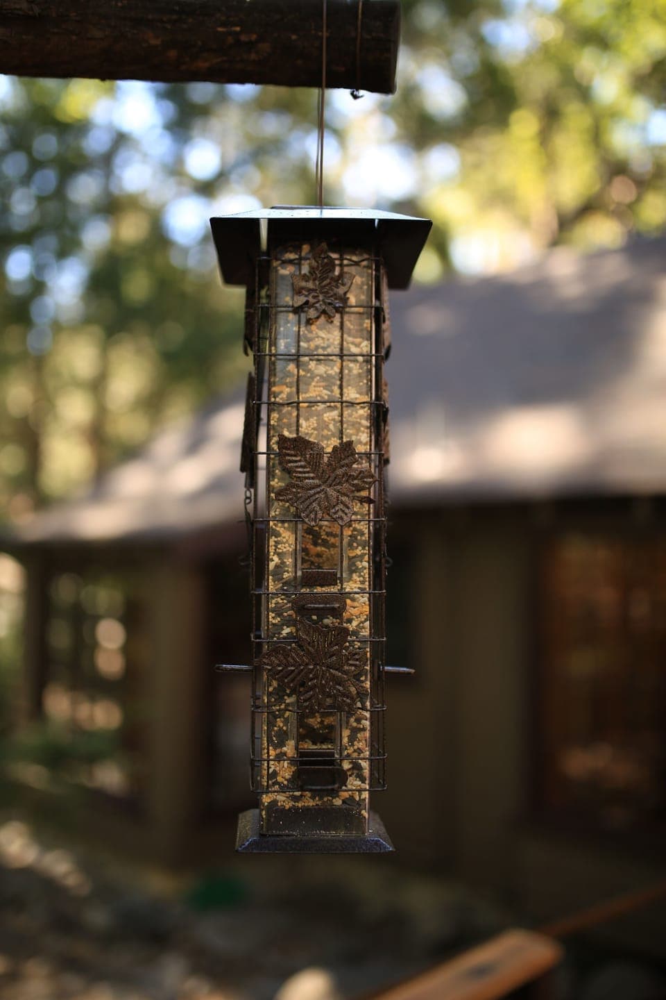 Birds provide beautiful background music at Hidden Heaven. - Birds provide beautiful background music at Hidden Heaven.