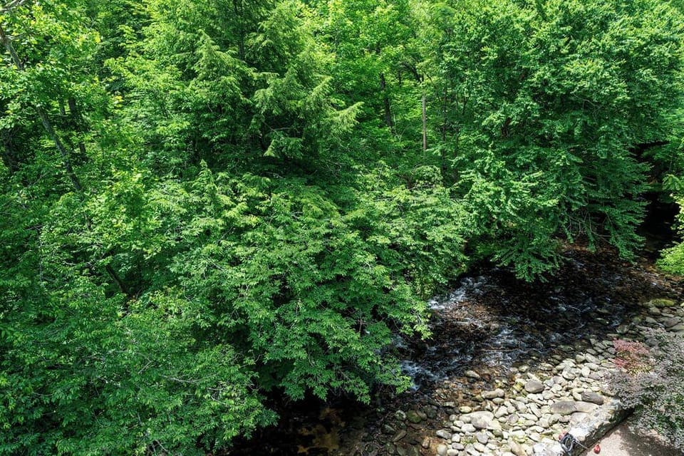 Relax to the sound of the river