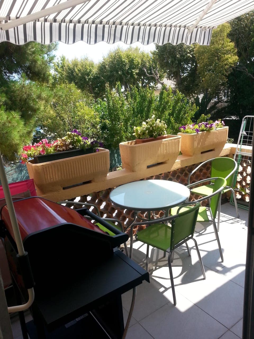 The little terrace in an island of green plants