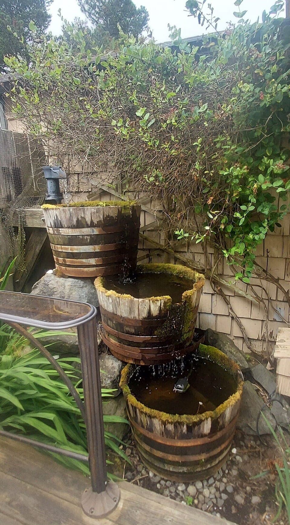 Listen to the trickles of the water feature -