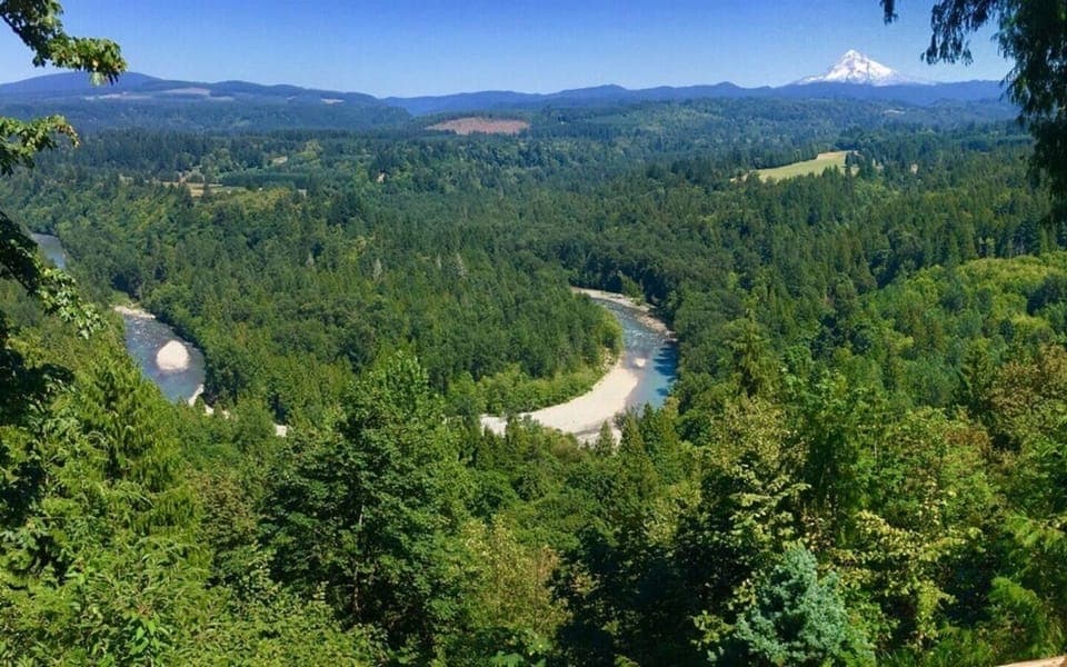 View from the back deck of the Lodge