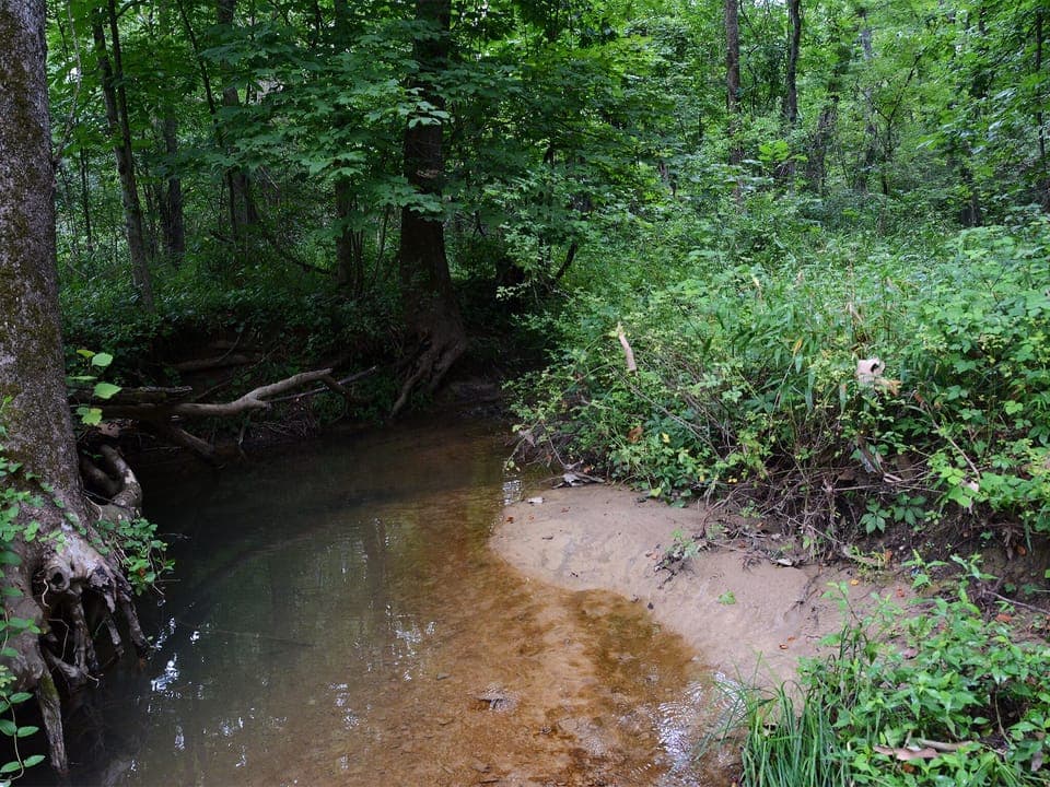 Year-round creek.