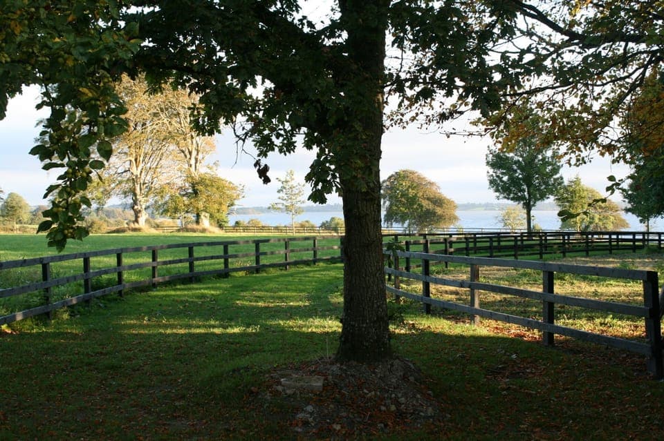 Walk way to the lake shore
