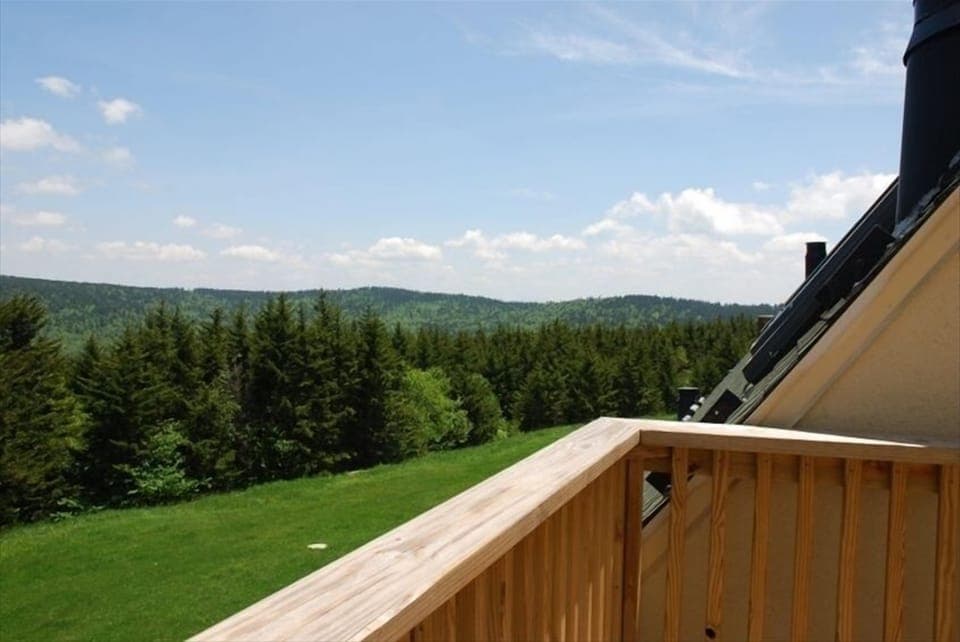 View from the Deck
