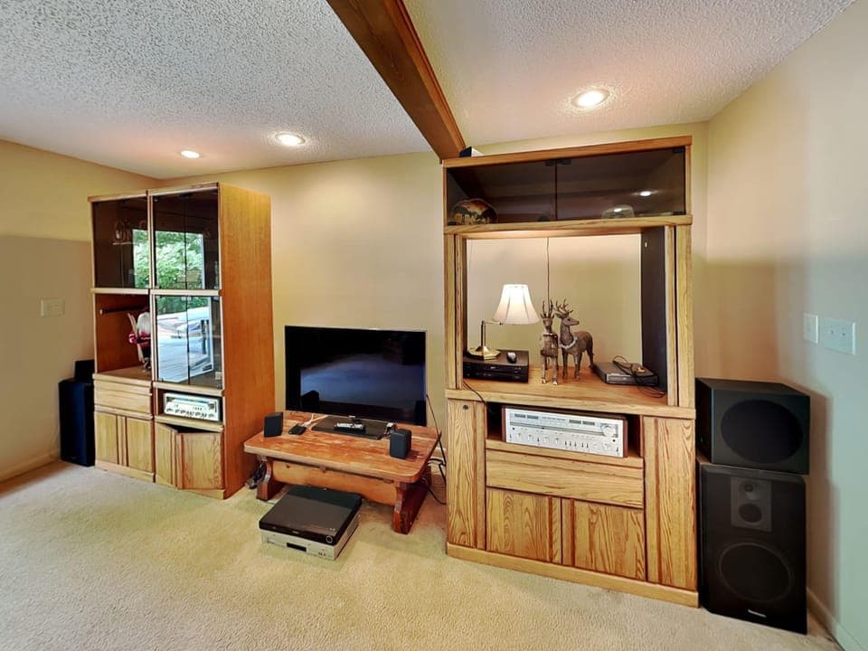 Lower Level Family Room