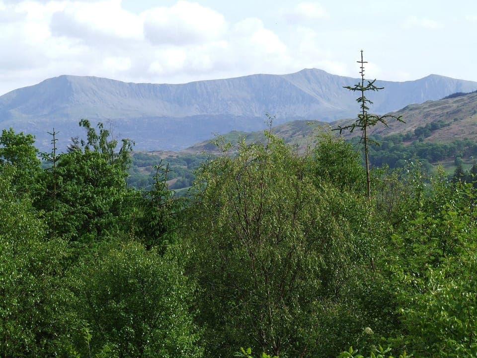Coed y Brenin Mountain Bike Centre.
