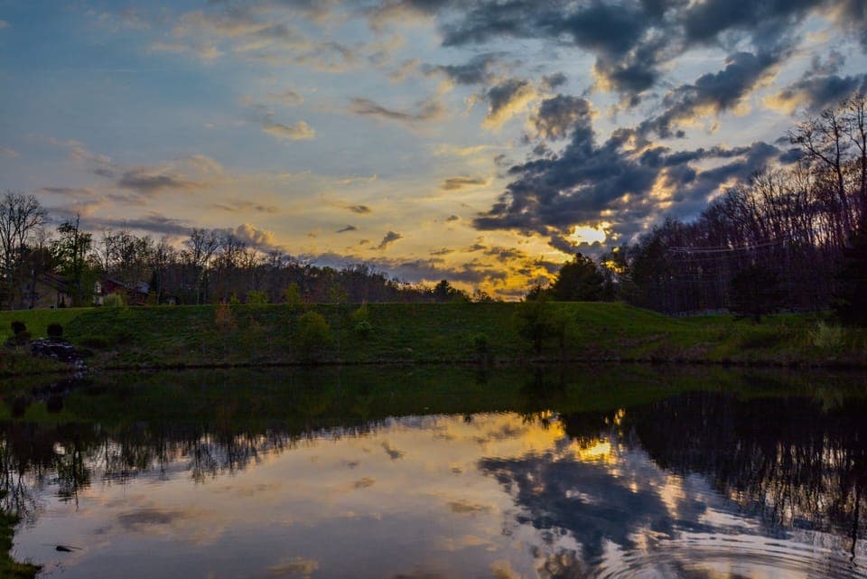 Pond View