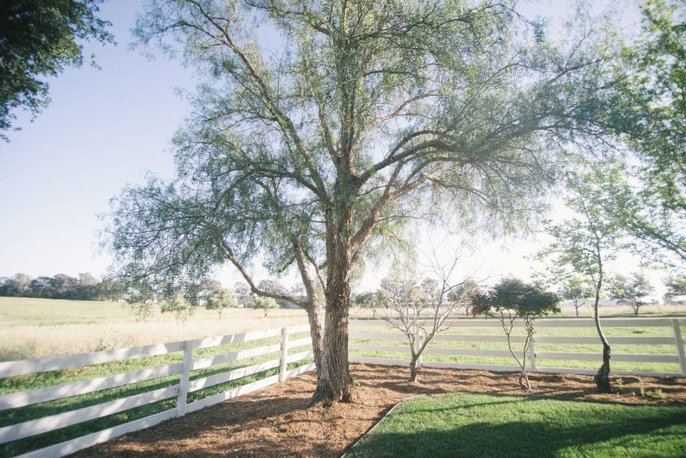 Beautiful views of Edna Valley