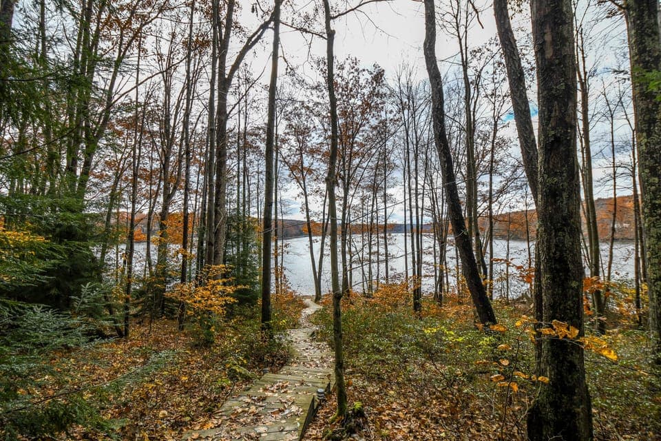 Path to Lake