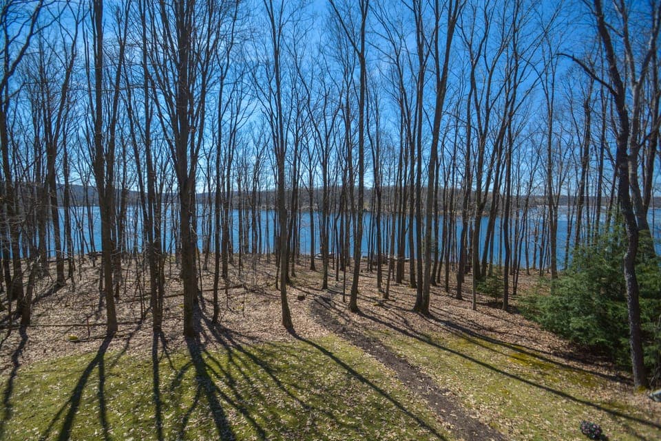 Partial Lake Views