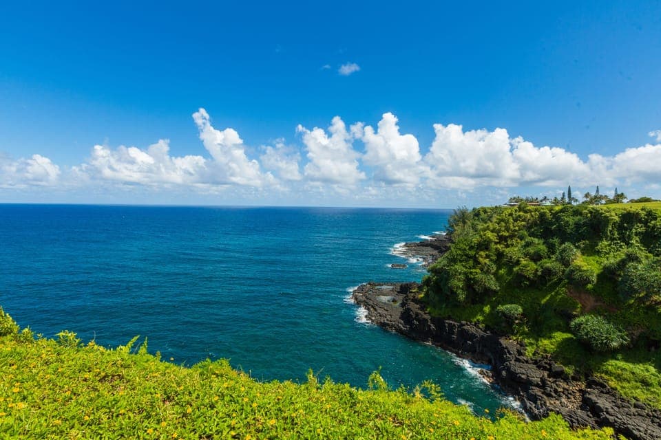 View From Yard - View From Yard