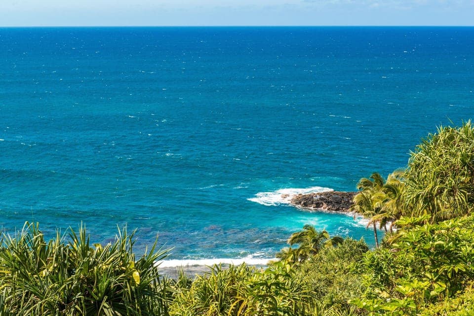 Grounds View - Grounds View