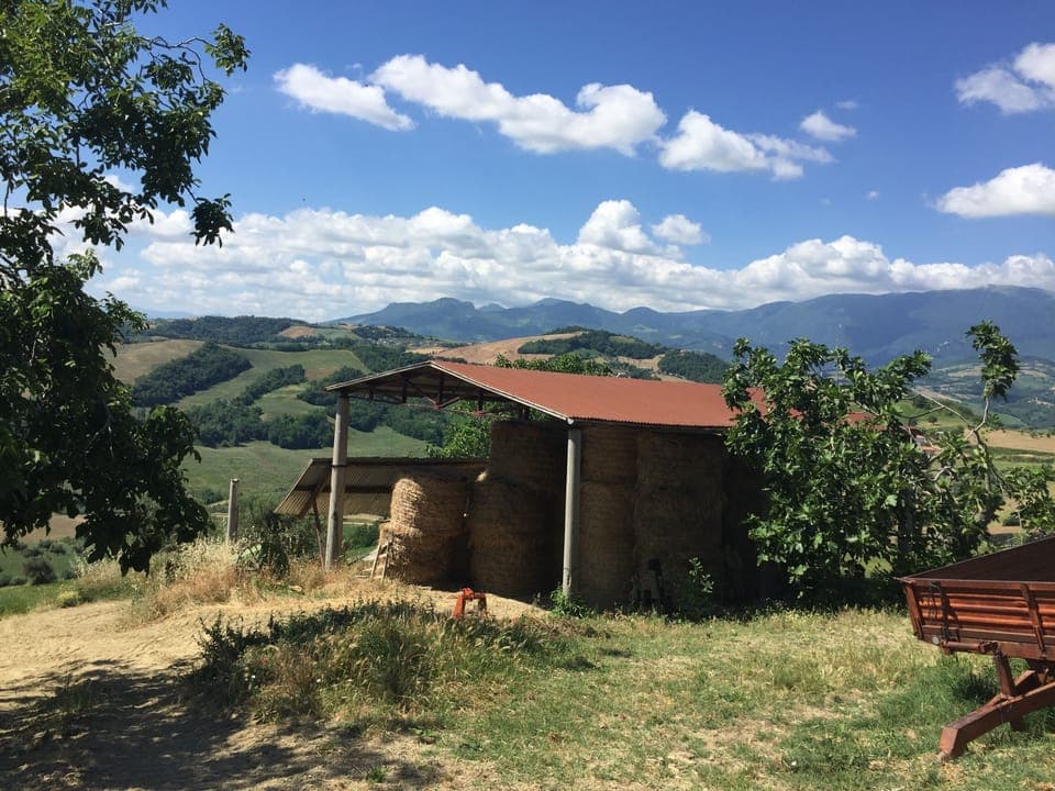 Barn on land belonging to La Casa Rosa