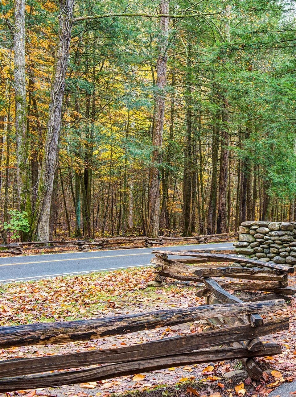 Adventure Awaits in Great Smoky Mountains National Park