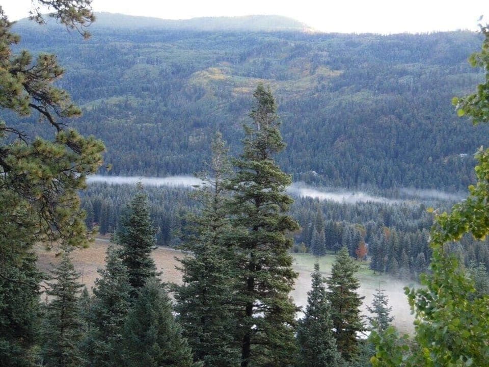 Views from the Home