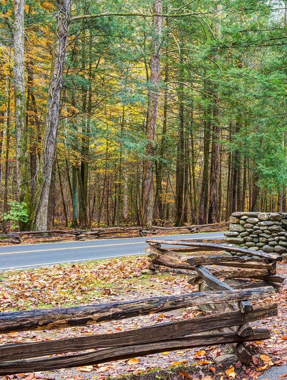 Adventure Awaits in Great Smoky Mountains National Park