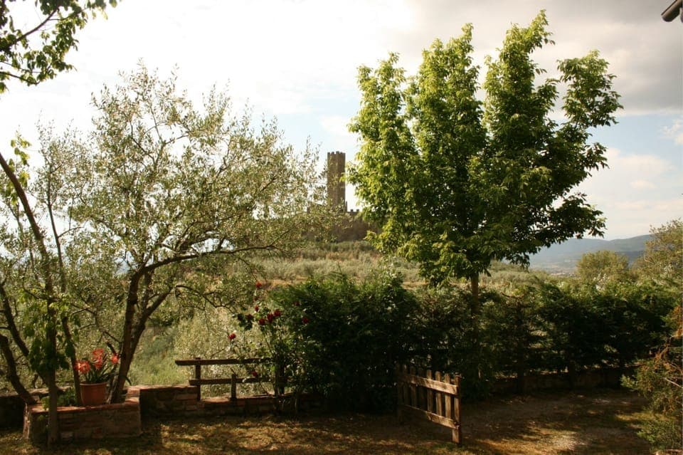 Cloud, Sky, Plant, Plant Community, Natural Landscape, Tree, Grass, Land Lot, Sunlight, Rural Area