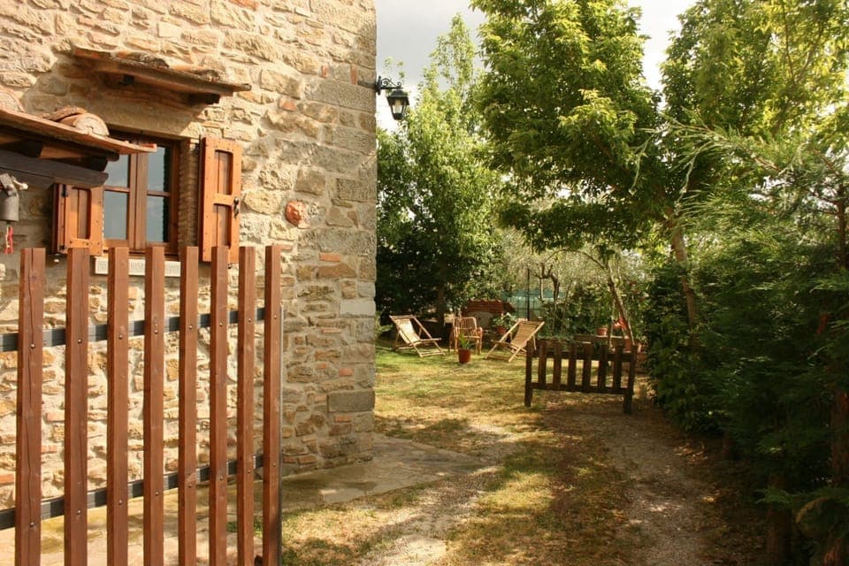 Plant, Property, Sky, Wood, Building, Fence, Tree, Grass, Sunlight, Biome