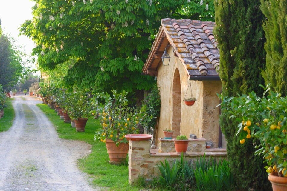 Il Viale e il Fienile