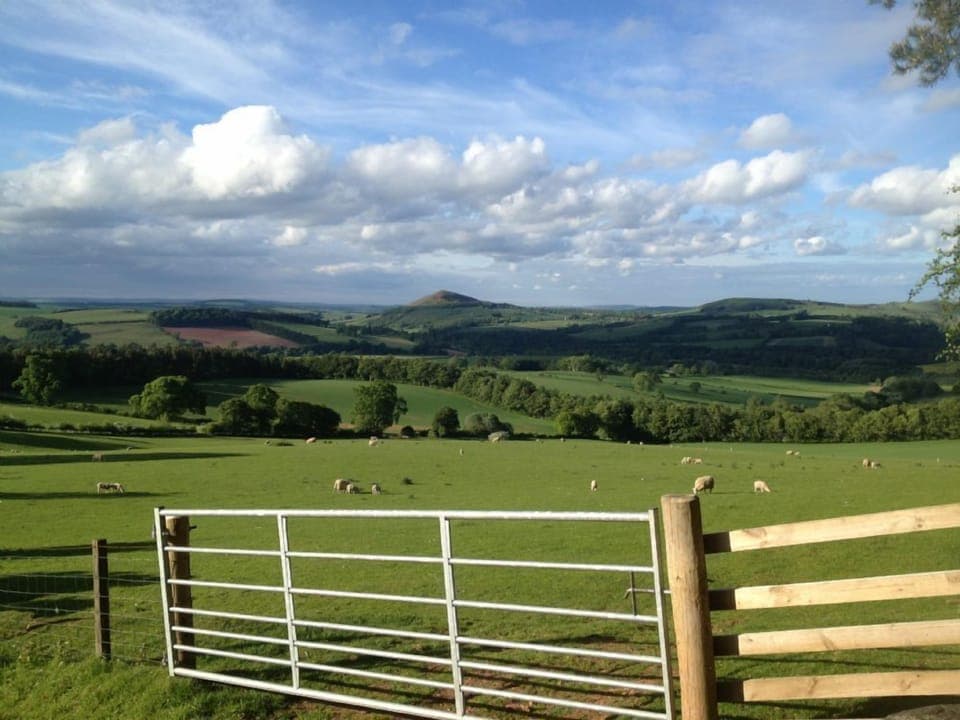 Countryside near the cottage