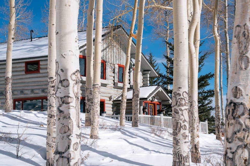 Tree, Architecture, Building, Outdoors, Shelter