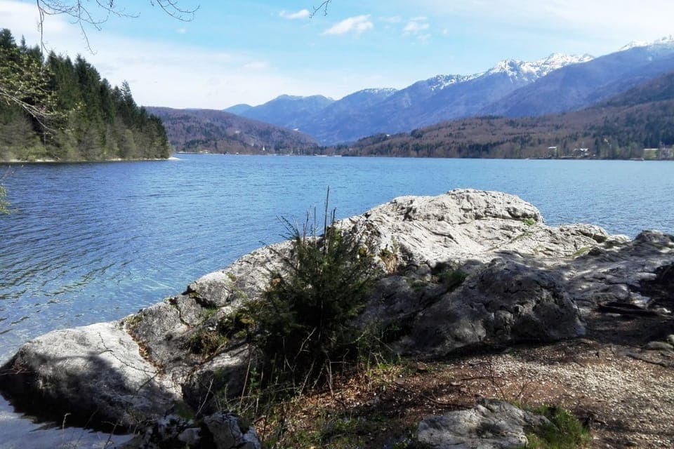 Lake Bohinj