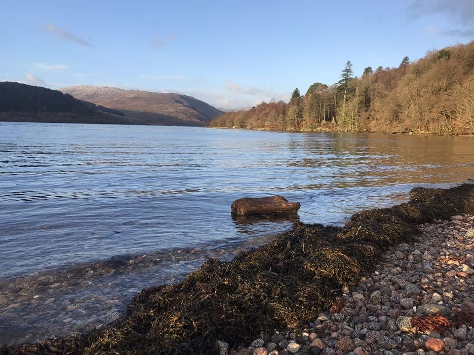 Morning walk to loch from cottage