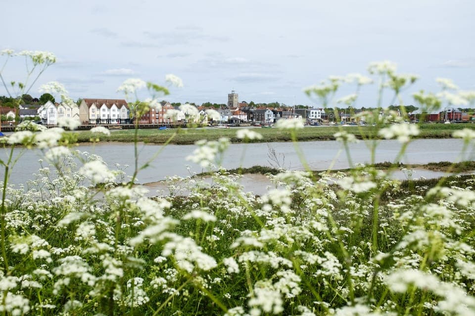 The view cross the river to Wivenhoe