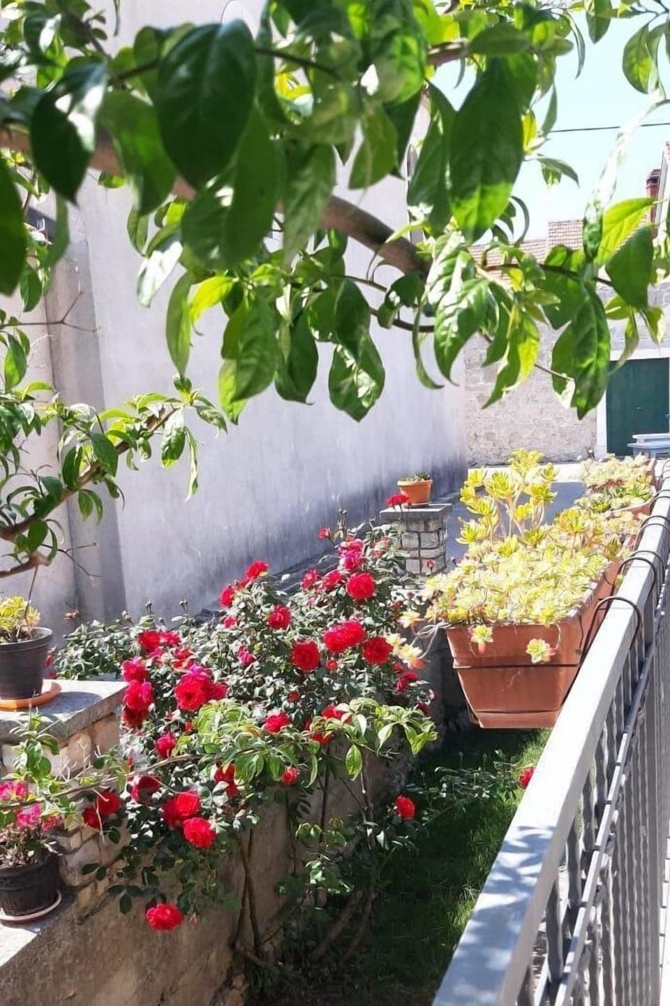 Terrace 1