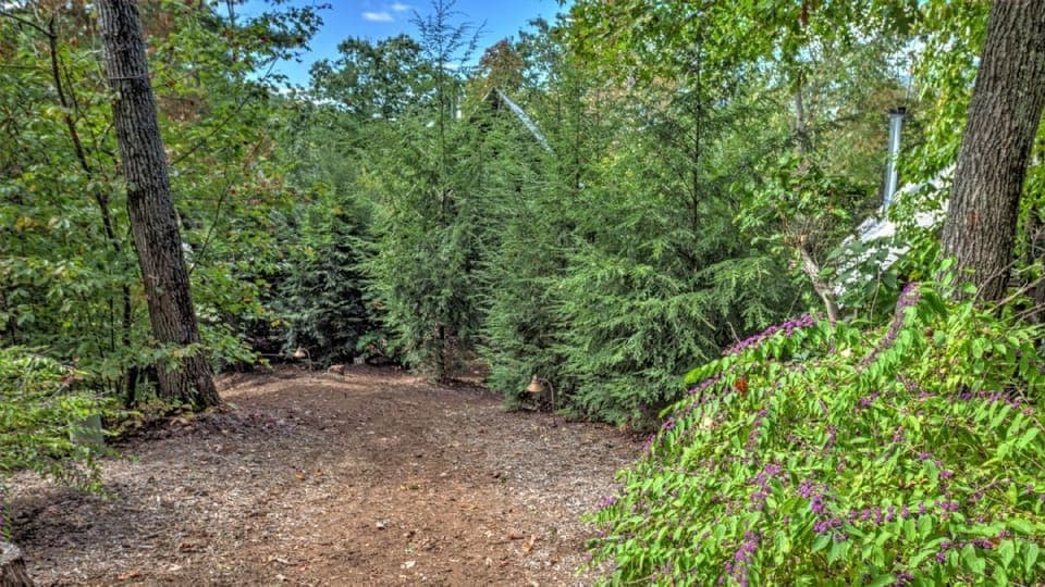 Short Walk to Cabins - Summer