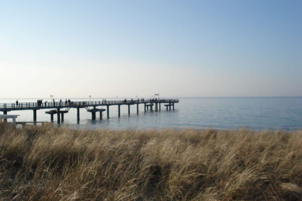 Region [summer] (>5 km)