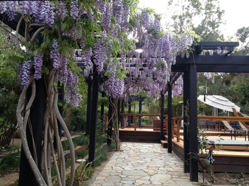 Front yard form Guest cottage