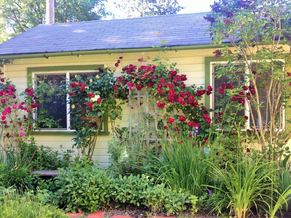 Mother-in-law Cottage nestled in a garden behind the main house.