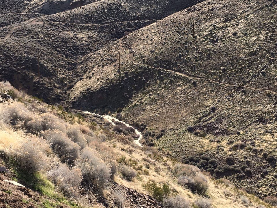 This is the backyard  