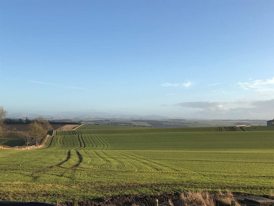 The view form the front