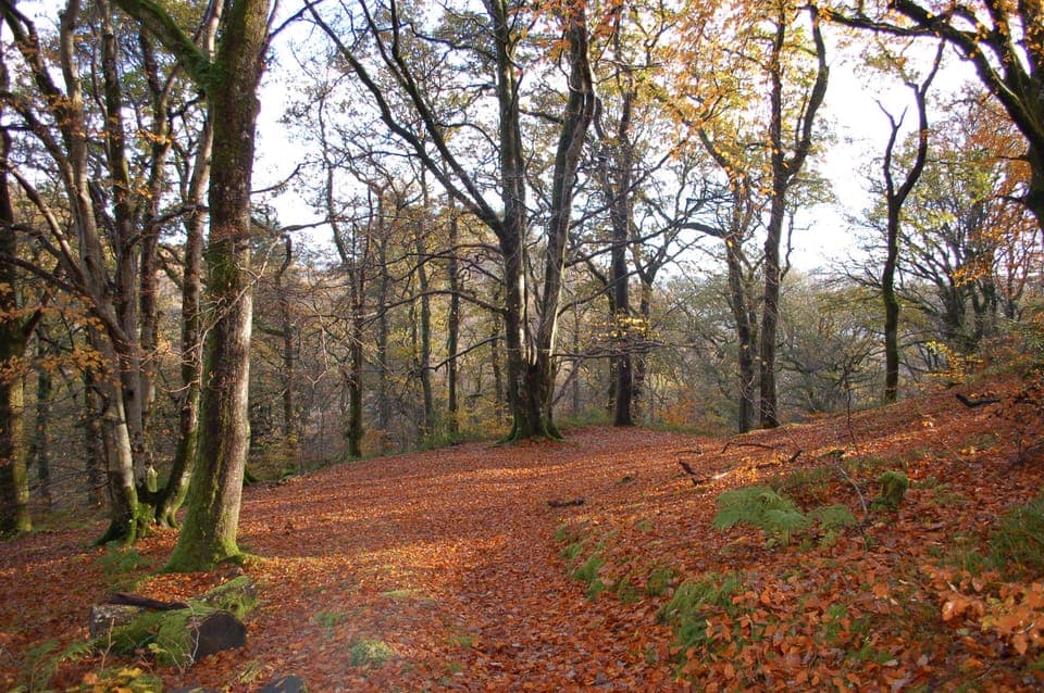 autumn walk from cottage
