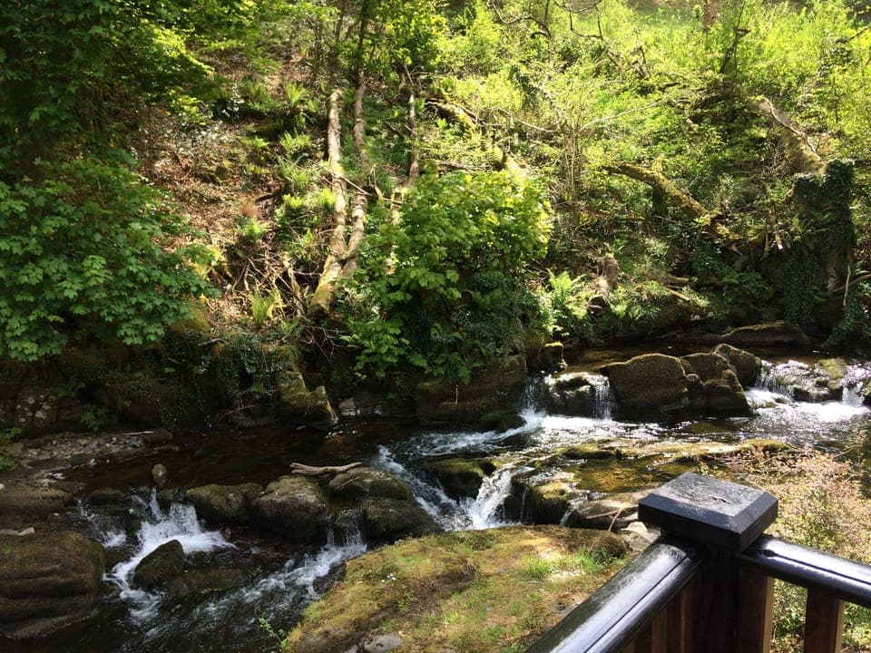 West Lyn River flows past Sunny Lyn Holiday Park