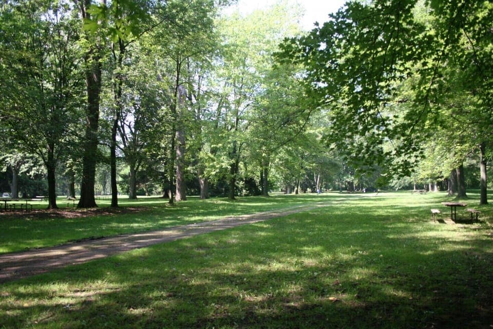 Holiday Beach Picnic Area