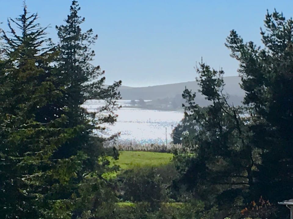 Tree Captioned View of tip of Bodega Bay from Bay View House lower hot tub patio
